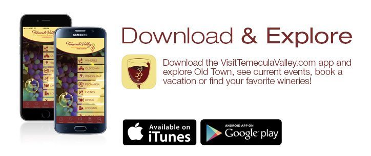 downloadvisittemeculaapp